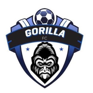 https://visionyouthgroup.org/wp-content/uploads/2024/10/GorillaFC-1.jpg